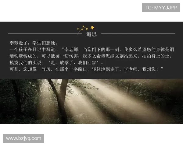 李芳的排球人生:从梦想起航到辉煌成就的深度对话 李芳的排球人生:从梦想起航到辉煌成就的深度对话